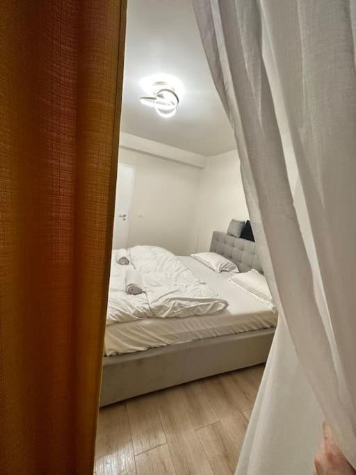 Ultracentral Luxury Apartament ทิมิชัวรา ภายนอก รูปภาพ