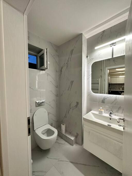 Ultracentral Luxury Apartament ทิมิชัวรา ภายนอก รูปภาพ
