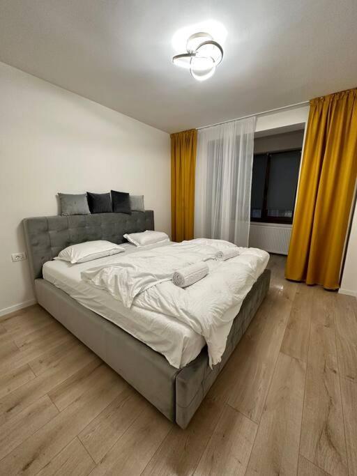 Ultracentral Luxury Apartament ทิมิชัวรา ภายนอก รูปภาพ